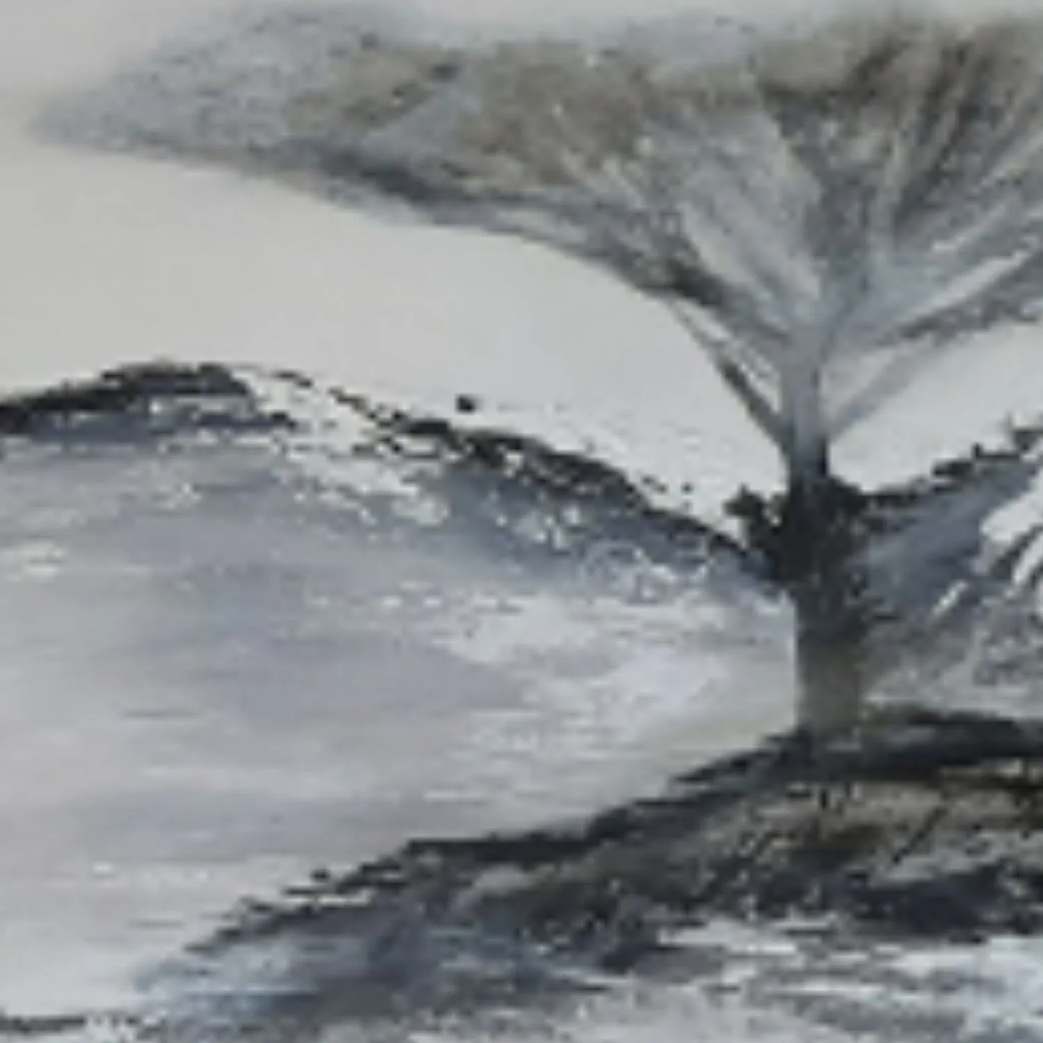 Misty Landscape